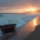 Tsunami Alerts Ripple Across Pacific Following Massive Kamchatka Earthquake; Travel Disrupted