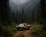 Forest Hostage Crisis Inside the 15-Hour Ordeal in Shasta-Trinity | West Coast Observer