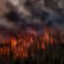 8.2 Million Acres Charred: West Coast Wildfire Crisis Hits Historic Peak