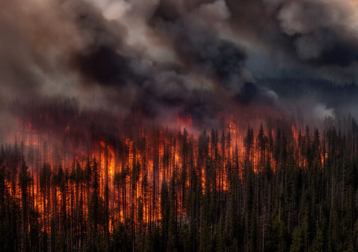 8.2 Million Acres Charred: West Coast Wildfire Crisis Hits Historic Peak