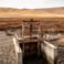 Federal Staffing Cuts Leave California Wetlands Parched