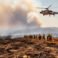 Inferno Strain: California’s Firefighting Crisis Escalates