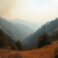 Red Flag Alert: Palo Alto & Santa Cruz Mts Under Fire Threat