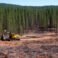 Western Wildfires: The Looming Impact of Federal Policy