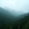 9th Circuit Rules in Favor of 13K-Acre Oregon Timber Project