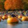 America’s Frugal Fall: Top Free Activities for 2026