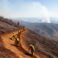 Lucas Fire Breakthrough: 30% Containment Reached
