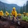 Oregon Wildfires Stalled: Rain Provides Critical Window for Containment