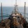 Federal Whale Rules Miss the Mark as Humpbacks Suffer