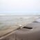 Rising Tides: West Coast Faces Kelvin Wave Surge