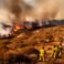 SoCal Fires Explode: Santa Ana Winds Threaten Orange County Communities